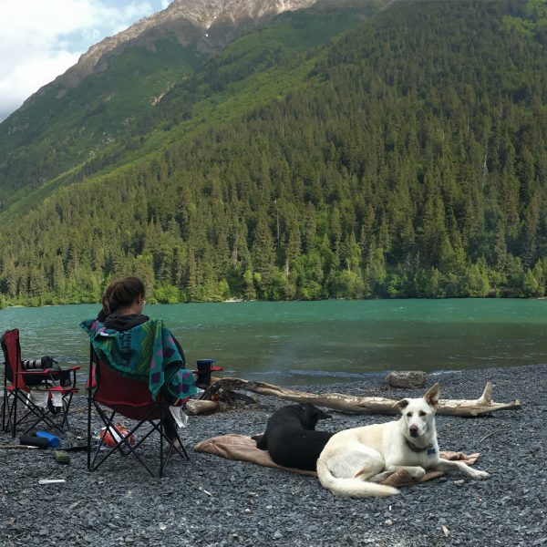 Alaskan Widespread Fishing Adventures (Salmon Fishing) - Image 7